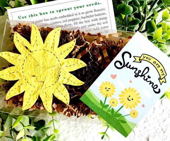 Set of 6 Seed Paper Plantable Cards - Hello Sunshine