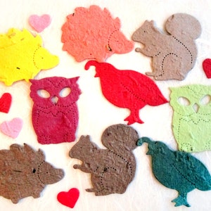 50 bomboniere per matrimoni nel bosco Carta con semi piantabili Ricci Gufi Quaglie Scoiattoli Animali del bosco - Carta con semi di fiori - Bomboniera per baby shower