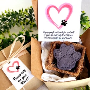 Personalized Pet Loss Gift Box Pet Sympathy Card Flower Seed Paper Plantable Paw with Flower Pot image 7