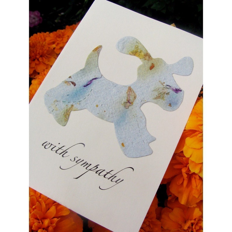 Pet Sympathy Card Plantable Dog or Cat Forget Me Not Flower Seeds image 1