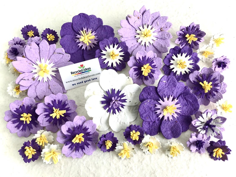Purple Seed Paper Flowers Mother's Day Gardening Gift Box Set Forever Pressed Flowers 24- just flowers mix