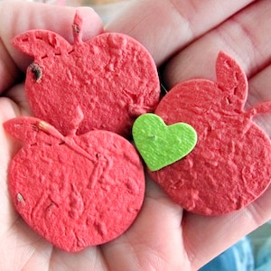 50 graines de pommes confettis en papier - Semaine de reconnaissance des enseignants - Pommes à graines de fleurs à planter - Carte de remerciement pour professeur DIY