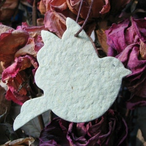 Flower Seed Paper Doves Wedding Favor Cards