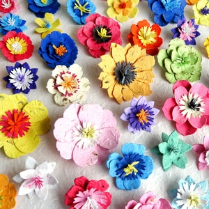 Seed Paper Forever Flowers - Assorted 3 dimensional Flowers - Black-Eyed Susans Cornflowers Daisy Poppies Marigolds and more
