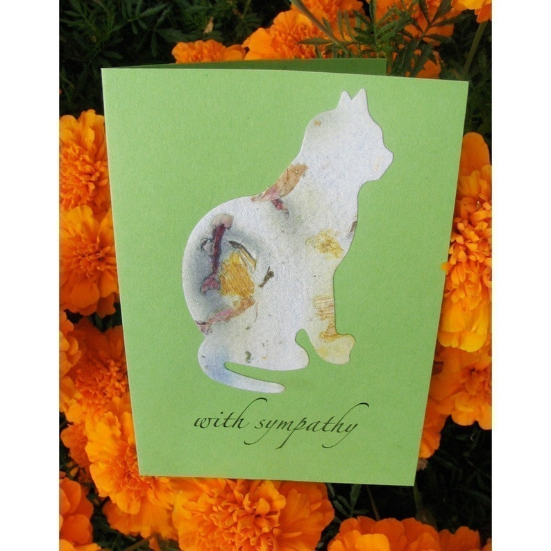 Pet Sympathy Card Plantable Dog or Cat Forget Me Not Flower Seeds Bild 2