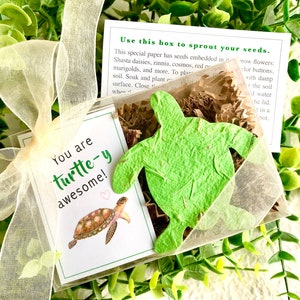 Scatola regalo di semi di carta con tartaruga piantabile - Regalo per il primo anniversario di Gal Pal