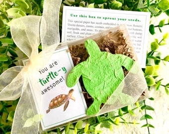 Plantable Turtle-y Awesome Seed Paper Gift Box - First Anniversary Gal Pal Gift