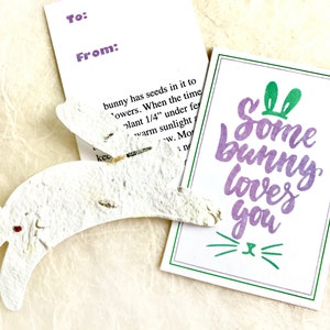 12 cartes de lapin en papier graine de fleur - Cadeau de panier de Pâques - Un lapin vous aime - Lapins en papier à planter