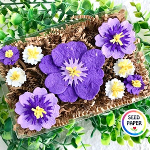 Purple Seed Paper Flowers Mother's Day Gardening Gift Box Set Forever Pressed Flowers Box - 9 flowers