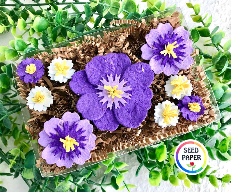 Purple Seed Paper Flowers Mother's Day Gardening Gift Box Set Forever Pressed Flowers Box - 9 flowers