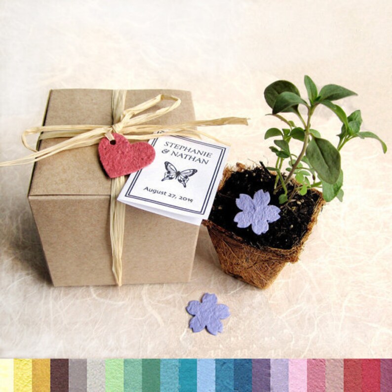 50 Plantable Wedding Favors With Biodegradable Pots And Flower Etsy