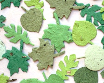May include: Assortment of green paper leaves in various shapes and sizes. The leaves are made of recycled paper and have a textured surface.