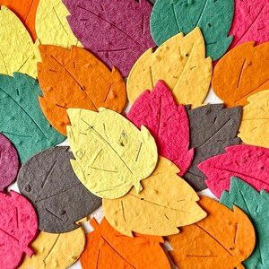 10+ Blumensamenpapierblätter – Birke, Ahorn, Eiche, Maulbeere – Farbe und Menge Ihrer Wahl