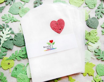 Plus de 10 sacs en verre et en cellophane - Emballage en papier pour graines à planter
