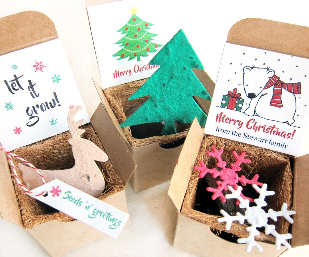 Seed Paper Christmas Tree Planting Kit With Flower Pot Etsy