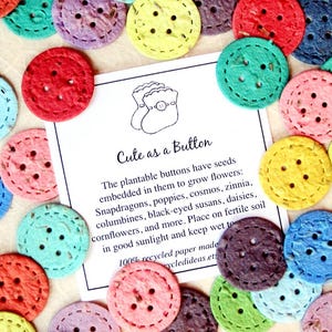 Más de 12 botones de confeti de papel con semillas de flores - Paquete con tarjetas