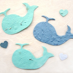 12 Seed Paper Whales Baby Shower Favors Ahoy It's a Boy Cards Flower Seeds Plantable Paper image 3