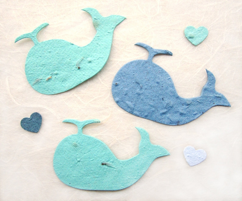 12 Seed Paper Whales Baby Shower Favors Ahoy It's a Boy Cards Flower Seeds Plantable Paper image 3