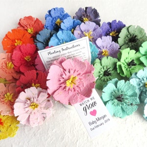 Handmade Seed Paper Flowers -  Anemonies Poppies Carnations - Your choice of color