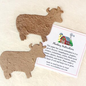 12 recuerdos de fiesta de cumpleaños de granja con macetas de papel para flores y semillas: cerdos, pollitos, ovejas, vacas, conejos, cabras y gallos. imagen 11
