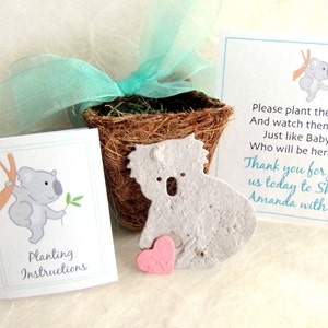 12 bomboniere per baby shower Koala - Koala e vasi di carta con semi piantabili - Bomboniere per matrimoni allo zoo - Kit fioriera per feste di compleanno