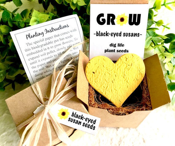 Black-eyed Susans Seed Planting Kit With Pot - Garden Gift - Your Choice  Seeds in the Flower Seed Paper Heart - Etsy Israel