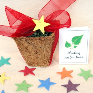 27 Blumentöpfe GeburtstagSparty Gastlieben - Pflanzbares Papier Seed Favors Planter Kit - Personalisierte Gastkarten