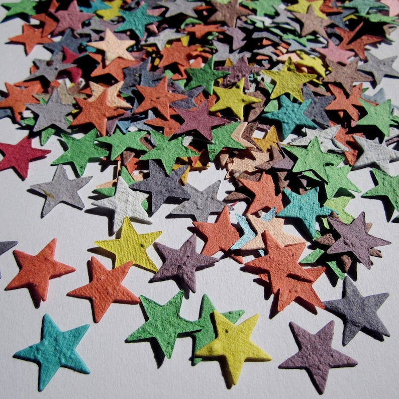 100 Seed Paper Stars Confetti Flower Seed Stars Plantable Paper image 3