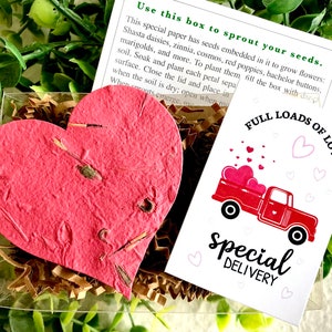 12 camion di carta di semi di fiori planabili carichi d'amore - Opzione confezione regalo