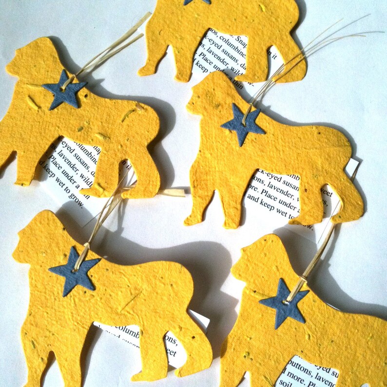 Gorilla height picture