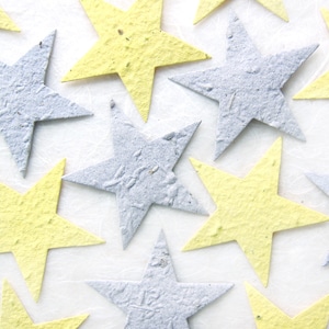 10+ BIG Flower Seed Paper Stars