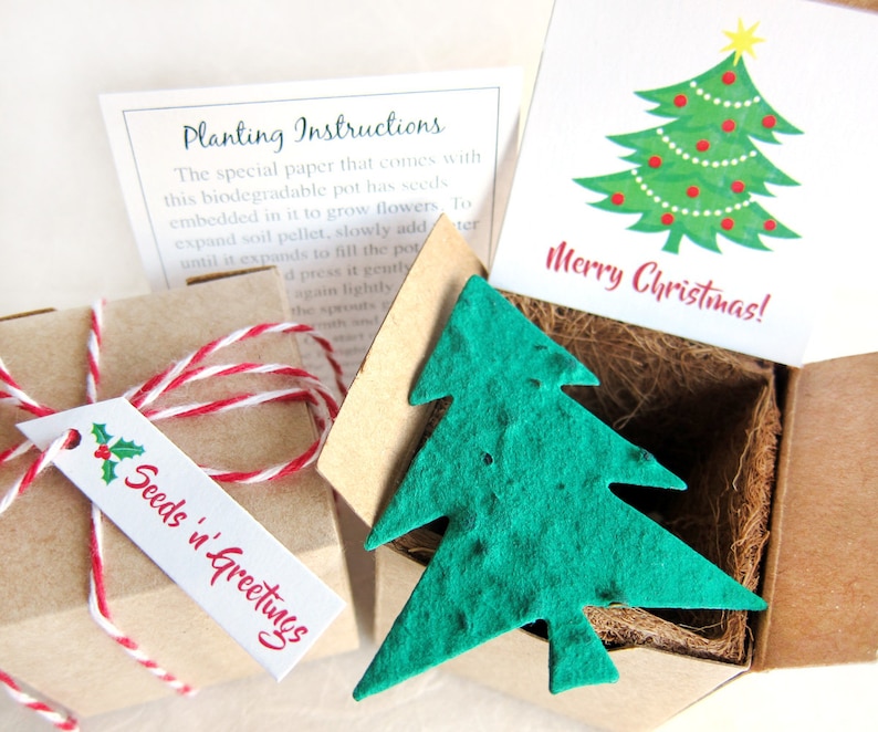 Seed Paper Christmas Tree Planting Kit With Flower Pot Etsy