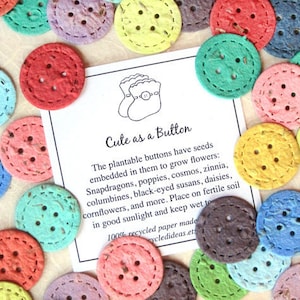 12 Cute as a Button Baby Shower Favors Flower Seed Paper Buttons Confetti Eco Friendly Recycled Paper image 1