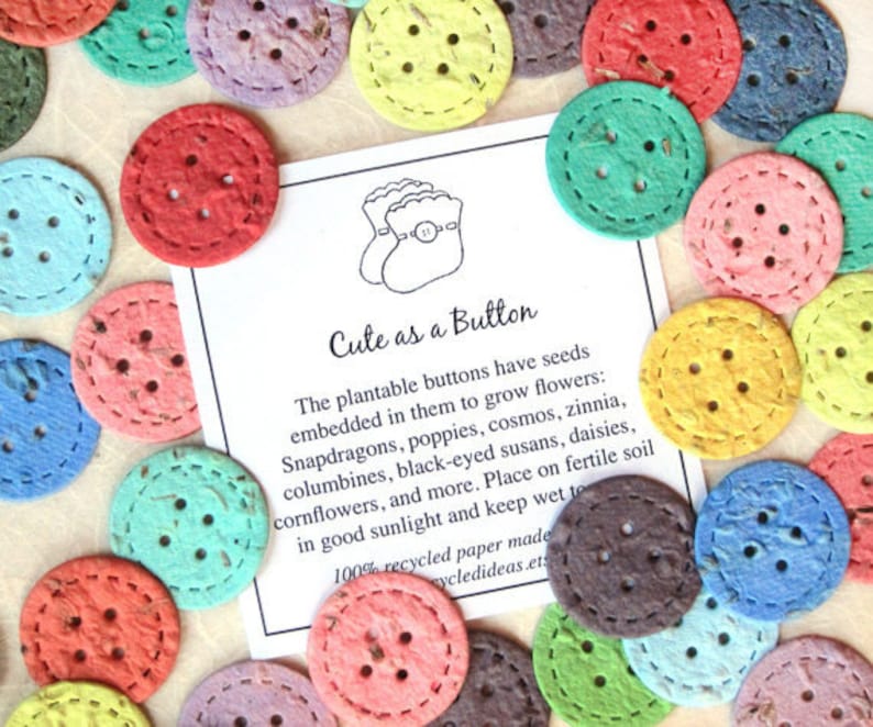 12 Cute as a Button Baby Shower Favors Flower Seed Paper Buttons Confetti Eco Friendly Recycled Paper image 1