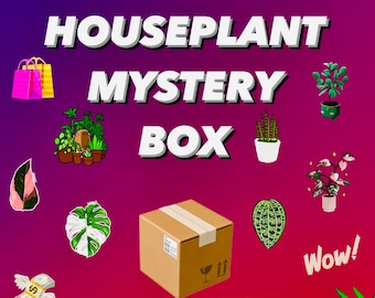 Houseplant MYSTERY Box • FREE Shipping!
