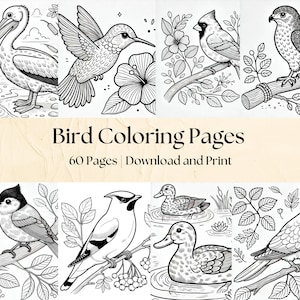 60 páginas para colorear de aves para imprimir y descargar: divertidos diseños de animales para niños y adultos, incluyendo cisnes, cardenales, búhos, halcones y más.