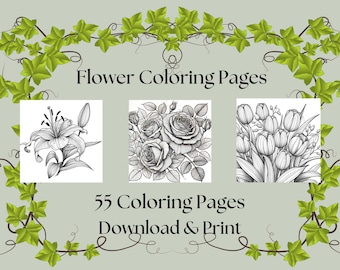 May include: Black and white line art coloring pages featuring a lily, rose, and tulips. The title "Flower Coloring Pages" and "55 Coloring Pages Download & Print" are displayed on the image.