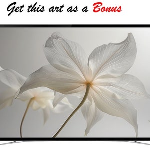Ethereal Ghost Orchid Minimalist Samsung Frame TV Art 4K High