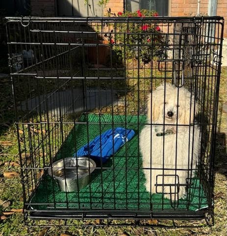 View of Washable Crate Pad, Kennel Pad, Waterproof Crate Pad, Potty Pad, Dog ...