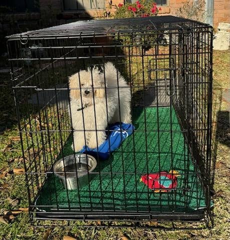 Washable Crate Pad, Kennel Pad, Waterproof Crate Pad, Potty Pad, Dog ...