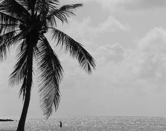 Schwarz-Weiß-Foto eines tropischen Strandes in Key West, Florida