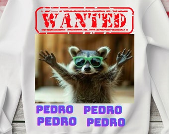 Pedro Raccoon, Png, Divertido diseño de sublimación de mapache, camisa, taza, totalizador, png Descargar. Diseño de mapache Png, camisa de mapache Png