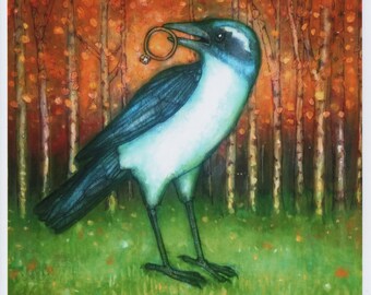 Scrub Jay with a Diamond Ring art PRINT no. 82 c-print 8 x 8