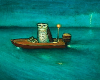 Nefarious Burrowing Owl Takes Late Night Motorboat Journey art PRINT no. 84 c-print 8 x 10