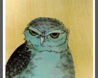 Glaring Burrowing Owl bird art PRINT no. 31 c-print 8 x 8