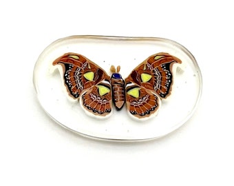 Folk art ATLAS MOTH cane coin murrine collector slice glass mosaic miniature