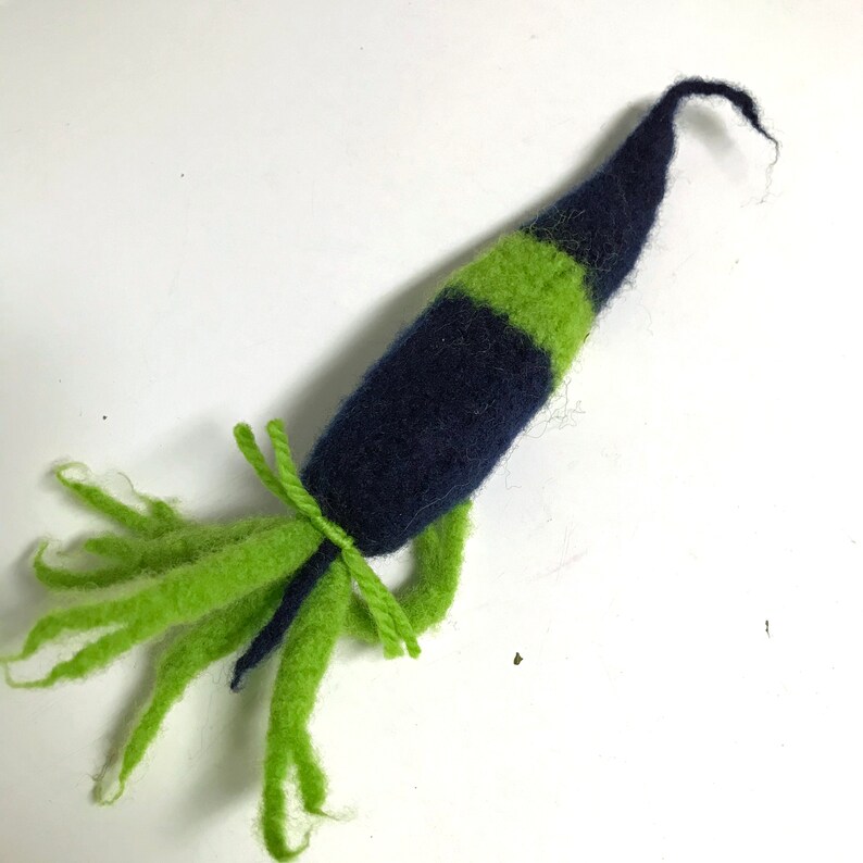 Kitty Karrots W Katnip Seahawk Colors Feltedwool Carrot Stuffed With