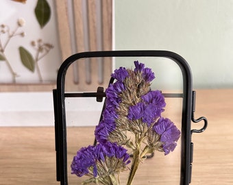 Framed Dry Pressed Statice - Home Gift DIY Decoration Dried Pressed Flowers Black Frame