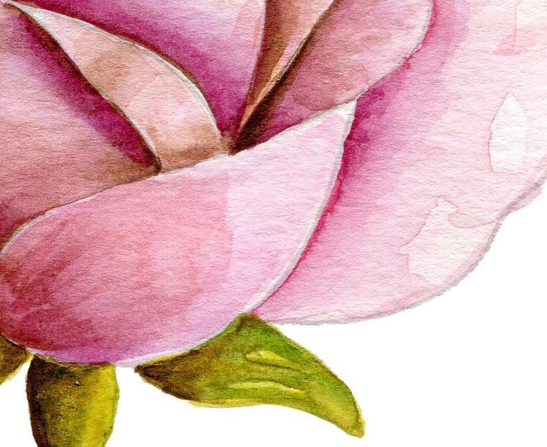 May include: A watercolor painting of a flower blossom featuring layered petals in shades of light pink, magenta, and deep rose. The base of the flower includes small, textured green sepals with brown accents, all set against a plain white background.