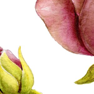 May include: A watercolor illustration of a deep magenta rosebud and a partially opened rose bloom. The bud is encased in bright lime green sepals, while the larger bloom displays rich, saturated pink and purple tones with visible texture.